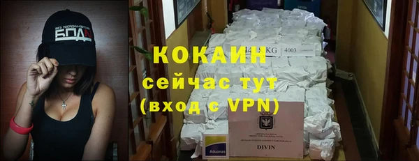 дмт Инсар