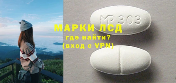 мяу мяу мука Иннополис