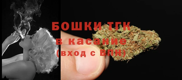 твердый Инта
