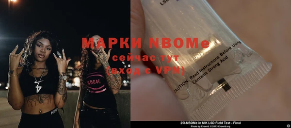 мяу мяу мука Иннополис