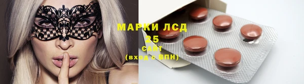 твердый Инта