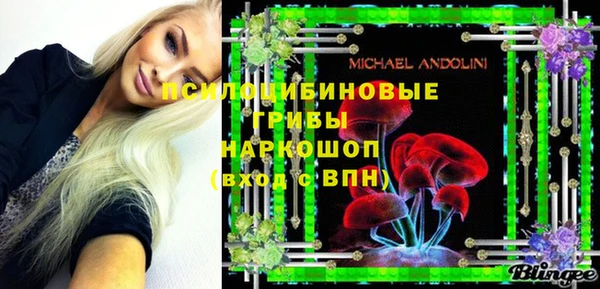 дмт Инсар