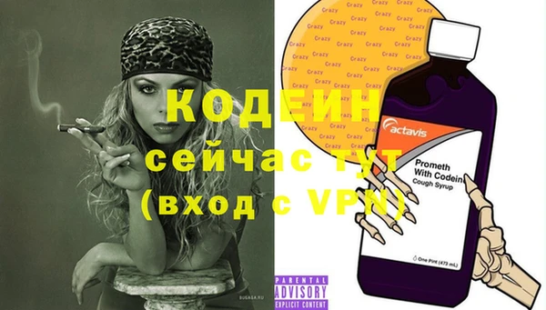 твердый Инта