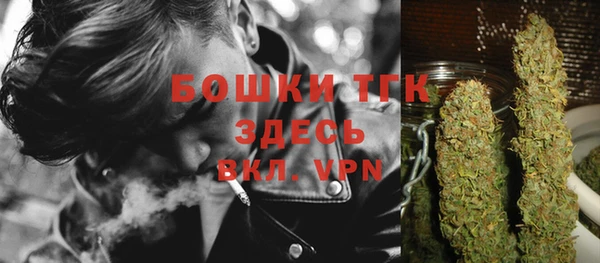 дмт Инсар