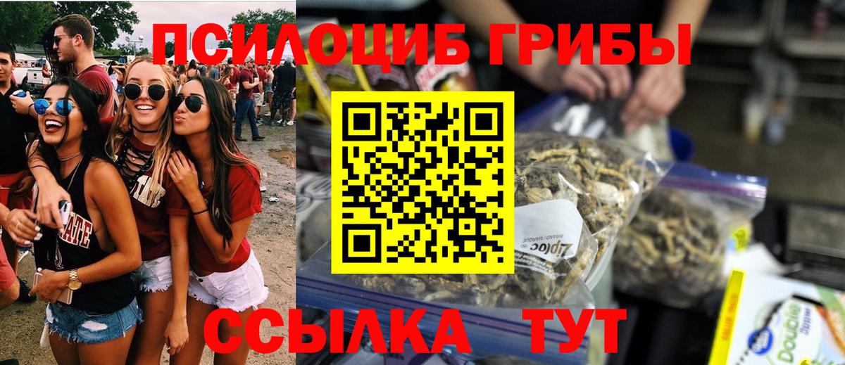 Галлюциногенные грибы GOLDEN TEACHER Невинномысск