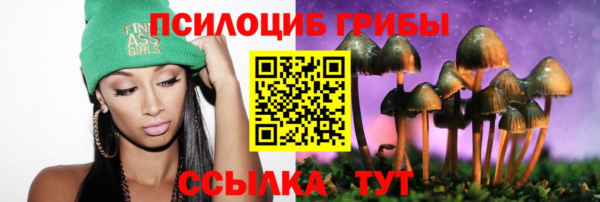 Псилоцибиновые грибы мицелий  Вход с VPN  Невинномысск 